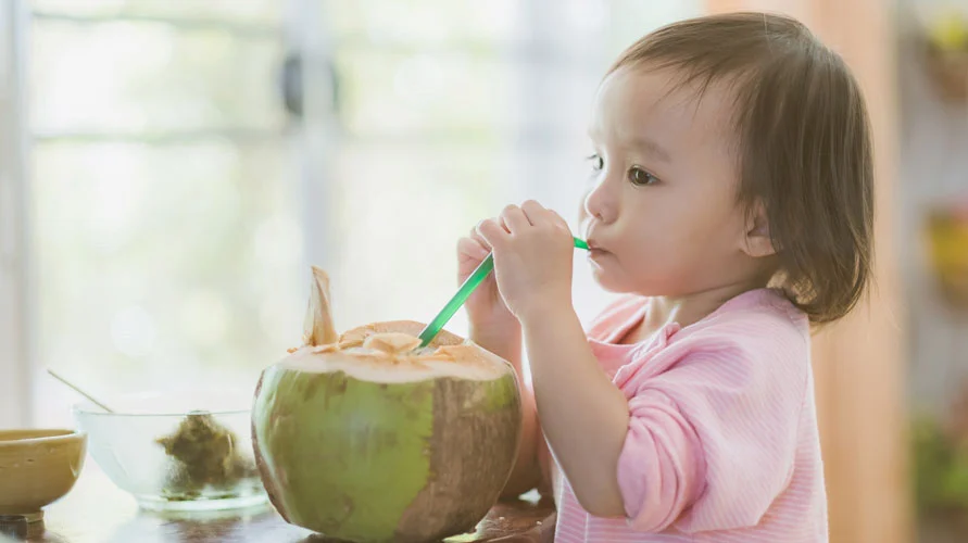 Manfaat Buah Kelapa